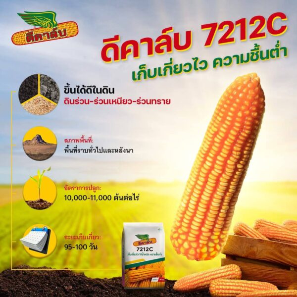 ข้าวโพด 7212C