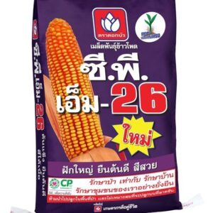 เมล็ดพันธุ์ข้าวโพด ซีพี เอ็ม -26